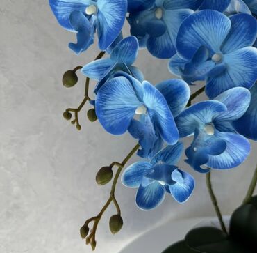 Декоративные цветы: Орхидея искусственная для декора в керамическом горшке Орхидея — 15