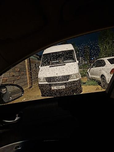 sprinter rex: Mercedes-Benz Sprinter, белый фургон/микроавтобус высокой крыши — 1
