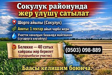 в сокулуке: 140 соток, Для сельского хозяйства — 1