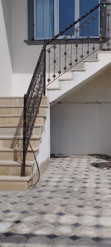 Barmaqlıqlar: Resotka 1-kv 35 azn başlayan qiymətlərlə 👈 . Məhəccər ( Perilla ) — 9