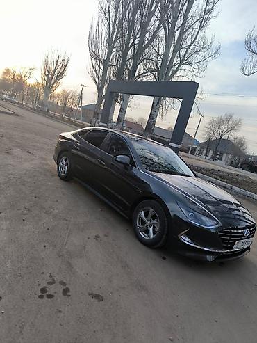 dn8: Hyundai Sonata: 2020 г., 2 л, Автомат, Газ, Седан — 2