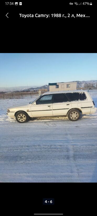 тайота алфорд: Toyota Camry: 1988 г., 2 л, Механика, Бензин, Универсал