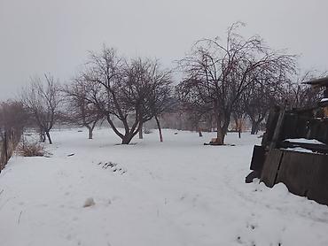 Продажа участков: 32 соток, Для строительства — 11