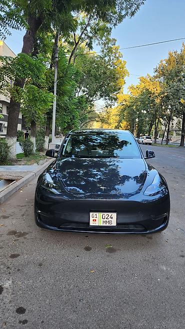 эстима левый: Tesla Model Y: 2024 г., Автомат, Электромобиль, Кроссовер — 1