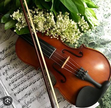 Скрипкалар: 🎻 Ищу преподавателя по скрипке в городе Каракол Ищу хорошего — 1