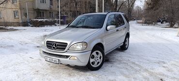 Mercedes-Benz: Mercedes-Benz M-Class: 2003 г., 2.7 л, Автомат, Дизель, Внедорожник