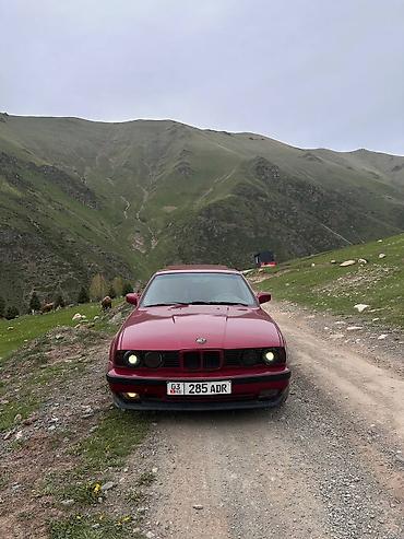 bye e5: BMW 5 series: 1991 г., 2.8 л, Механика, Бензин, Седан — 4