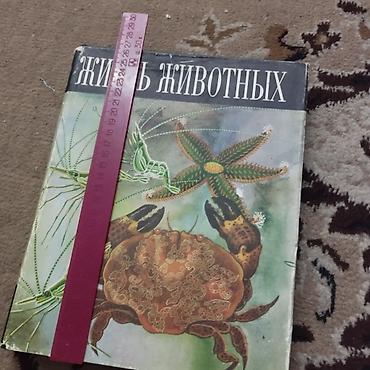 6 минут: Книги научно-познавательные, в шести томах. размер 21×27см. около — 3