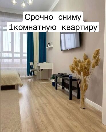 Сниму квартиру: 1 комната, 35 м²