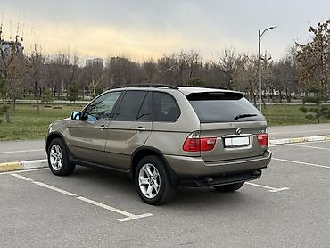 BMW: BMW X5: 2004 г., 3 л, Автомат, Бензин, Кроссовер — 4