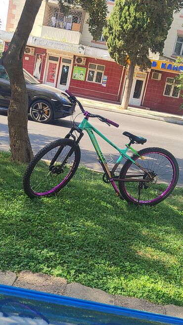 olympia velosiped: Yeni Dağ velosipedi 29", sürətlərin sayı: 8, Ünvandan götürmə