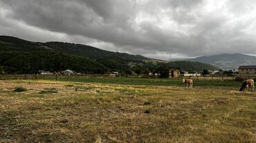 zigda torpaq: 10 sot, Tikinti, Maklerlər narahat etməsin, Kupça (Çıxarış)