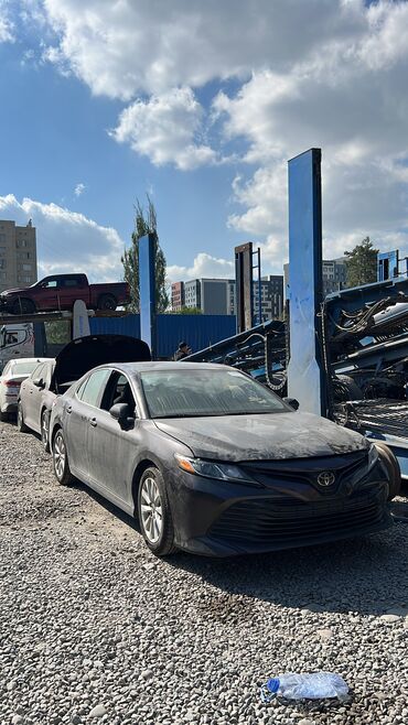 авто алфард: Toyota Camry: 2020 г., 2.5 л, Автомат, Бензин, Седан