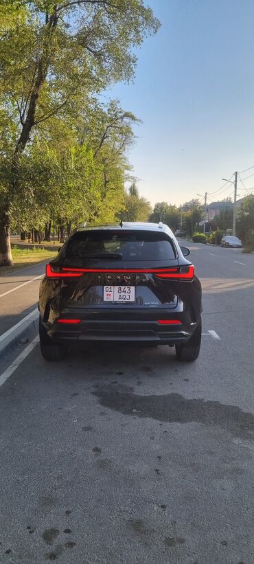 Lexus: Lexus NX: 2022 г., 2.4 л, Автомат, Бензин, Кроссовер