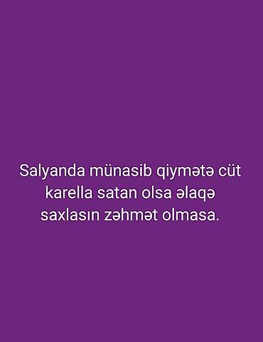 ağ quyruq ağlıca: Tutuquşları — 1