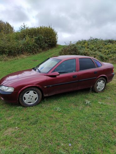 Opel: Opel Vectra: 1.6 l | 1997 il Sedan — 5