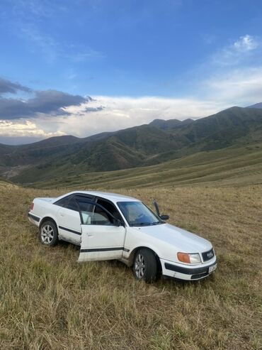 Audi: Audi 100: 1991 г., 2.3 л, Механика, Газ, Седан — 9