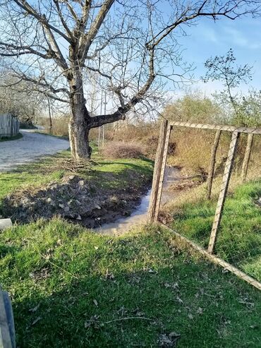 İnformatika: Kənd təsərrüfatı