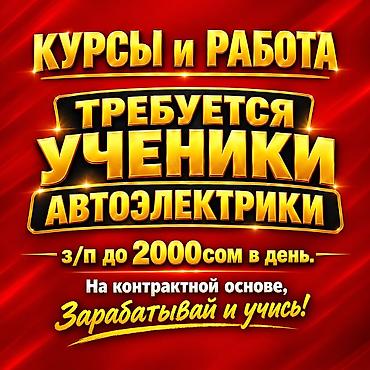 Требуется ученик автоэлектрика. - Обучение и работа в сфере