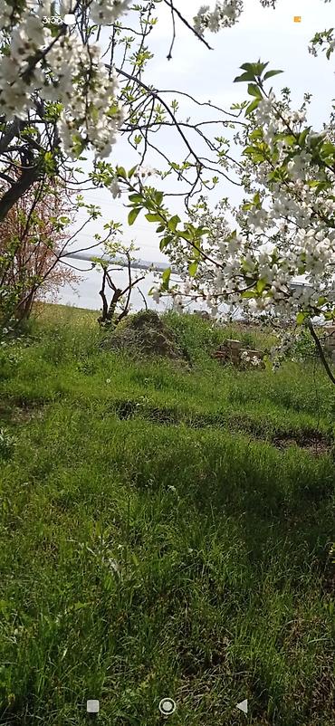 visnofkada torpaq: 14 sot, Biznes üçün, Mülkiyyətçi, Kupça (Çıxarış) — 2
