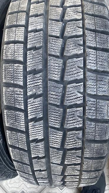 50: Шины 205 / 50 / R 16, Зима, Б/у, Пара, Легковые, Япония, Dunlop — 2