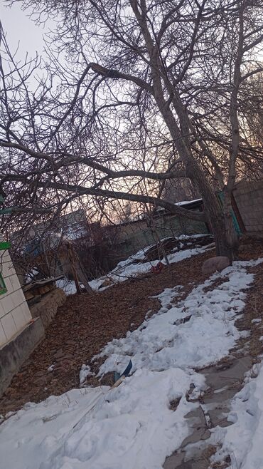 Другие товары для дома и сада: Уй сатылат Ысыколдо Григорефка айылында улуш жери менен сатылат уйдун — 5