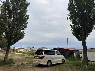 alphard toyota: Toyota Alphard: 2005 г., 3 л, Автомат, Газ, Минивэн — 3