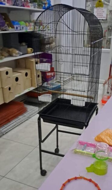 Qəfəslər: Her qiymete her olcude yeni qefeslermiz var satisda bayram edirimleri -da lalafo.az — 11 Qəfəslər: Her qiymete her olcude yeni qefeslermiz var satisda bayram edirimleri — 11