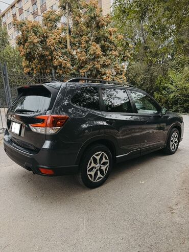 Subaru: Subaru Forester: 2019 г., 2.5 л, Вариатор, Бензин, Кроссовер — 3