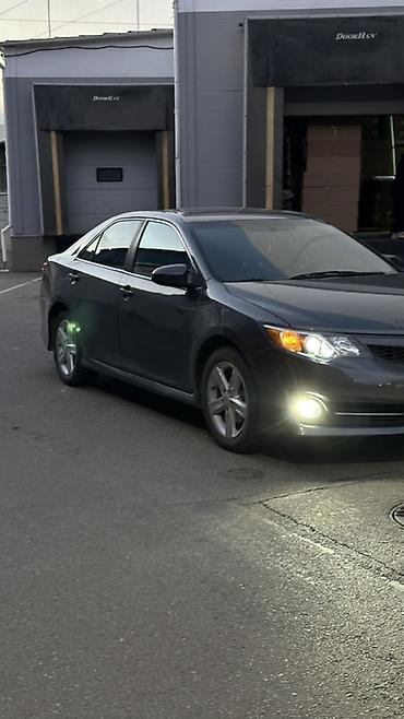Toyota: Toyota Camry: 2012 г., Седан — 1