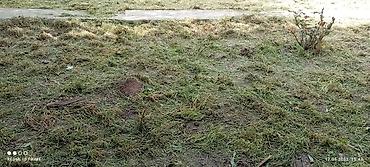 продаю дорожки: Уборка территории — 8