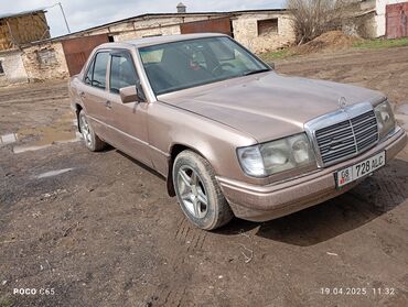 Mercedes-Benz: Mercedes-Benz W124: 1993 г., 2.2 л, Механика, Бензин, Седан