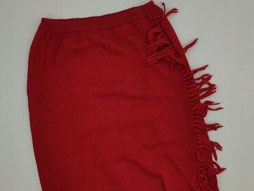spódnice midi obcisła: Celine, Спідниця жіноча, M