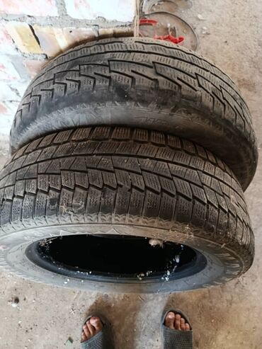 датчик давления шины: Шины 195 / 65 / R 15, Зима, Пара