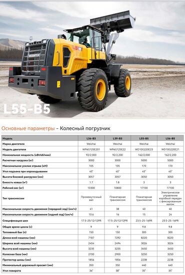 Грузовики: Грузовик, Shacman, Новый — 8