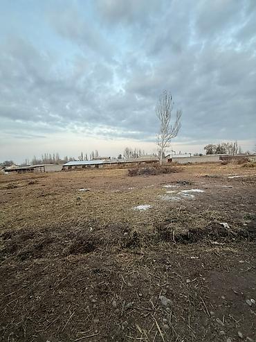 Продажа коттеджей и домов: 6 комнат, 3500 м², 35 соток, Ивановка, Собственник — 19