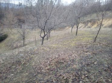 Prodaja zemljišta: Prodajem ili bih menjao tri vezana placa u Loznici od 30 ari sa — 6