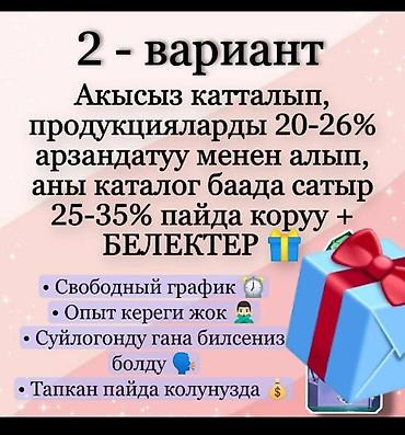 Гигиена и ароматизаторы: Предлагается подключение к программе Faberlic с тремя вариантами — 2