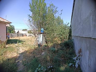 Продажа коттеджей и домов: 🏡 Срочно продаётся дом! 📍 Район Кирком, угловой участок 📐 Дом — 100 — 12