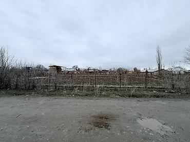 село лениския: 15 соток, Для бизнеса, Красная книга — 2