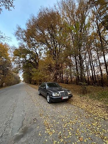 Mercedes-Benz: Mercedes-Benz W124: 1991 г., 2.3 л, Механика, Бензин, Седан — 9