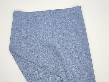 spódnice midi plus size: Spódnica damska, rozmiar 2XL — 1