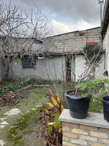 Bağ evlərinin satışı: Bakı, 80 kv. m, 2 otaqlı, Hovuzsuz, Kombi, Su, Qaz -da lalafo.az — 25 Bağ evlərinin satışı: Bakı, 80 kv. m, 2 otaqlı, Hovuzsuz, Kombi, Su, Qaz — 25