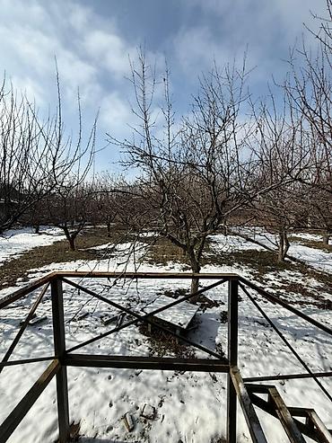 Продажа коттеджей и домов: ‼️‼️СРОЧНО ПРОДАЮ участок в селе «Байтик» (по первой линии) 7 соток at lalafo.kg — 11 Продажа коттеджей и домов: ‼️‼️СРОЧНО ПРОДАЮ участок в селе «Байтик» (по первой линии) 7 соток — 11