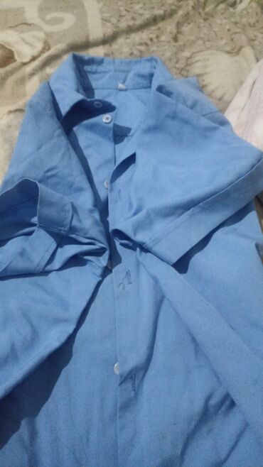 рубашки мужские вельветовые: Рубашка 2XL (EU 44), цвет - Голубой