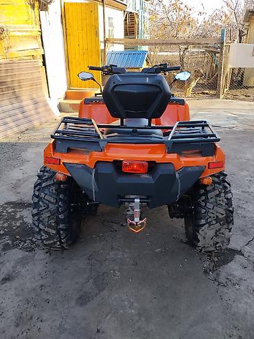 Квадроциклы: Квадроцикл Бензин, 420 куб. см, Взрослый — 3