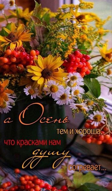 отдам даром личные вещи: Отдам даром вещи для девочки 7-8 лет. Самовывоз из Маевки