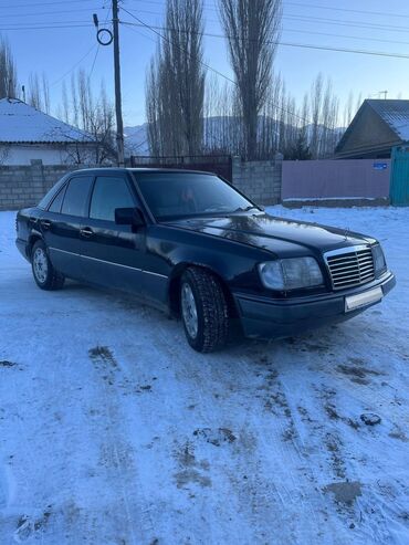 Mercedes-Benz: Mercedes-Benz W124: 1995 г., 2.2 л, Автомат, Бензин, Седан