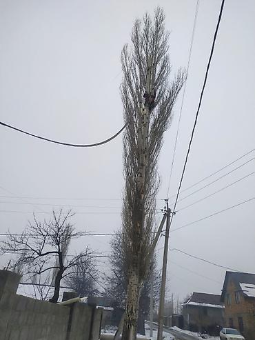 дравы: Бак отун дарак Терек дуп топал Драва ж/б и/д кыйабыз кесебиз жыгабыз — 4