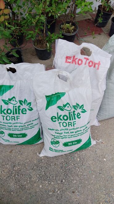 саженцы клубники бишкек: Məhsul: Ekolife TORF – 20 litr torpaq qarışığı Təyinat: - Bütün növ